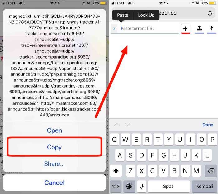 02-торрент-ios-mte-copy-paste-magnet