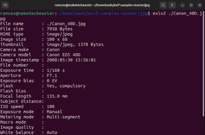 Терминал, показывающий вывод утилиты Exiv2 по умолчанию при загрузке файла изображения.