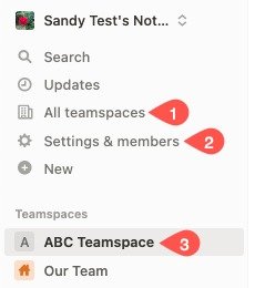 Все Teamspace, «Настройки и участники» и Teamspaces на боковой панели Notion.