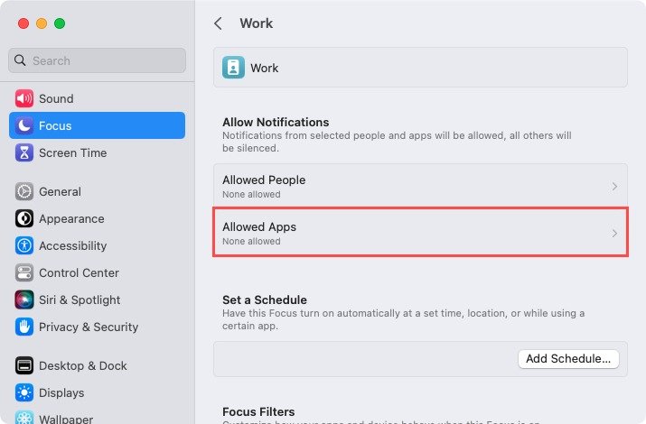 Разрешенные приложения для фокуса на Mac