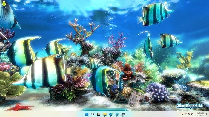 Лучшие обои 4k Windows Slim Aquarium