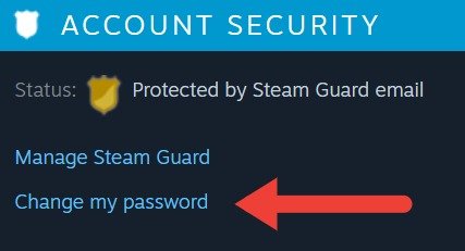 Изменение пароля Steam в разделе «Безопасность учетной записи».