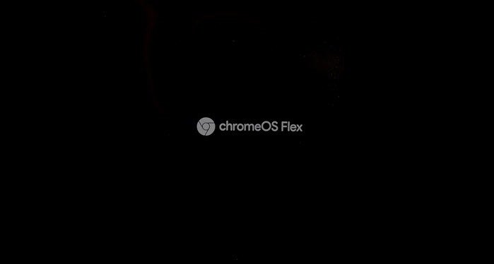 Логотип загрузки Chrome OS Flex