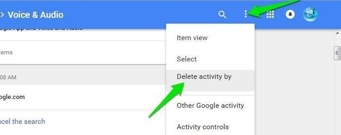 Удалить-Google-Voice-Search-Delete-Activity-by