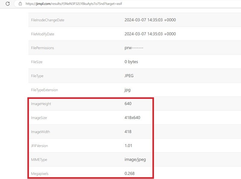 Полные метаданные изображения отсутствуют в Jimpl, а ширина и высота изображения являются подозрительными значениями.