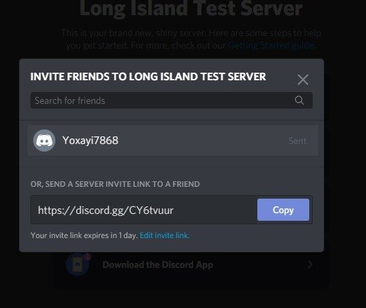 Discord Screenshare Пригласить друзей Тестовый сервер