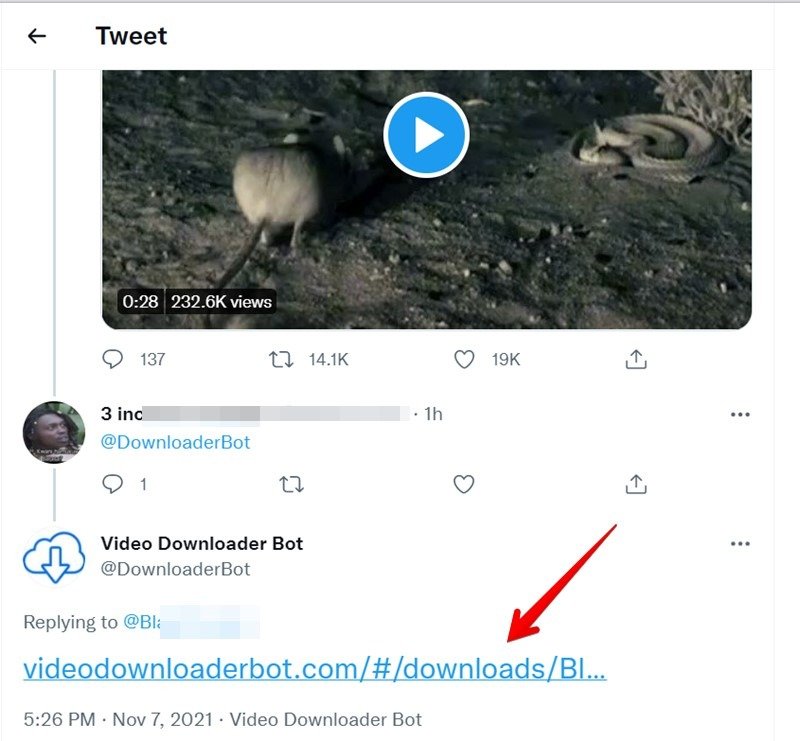 Скачать Twitter Video Bot Получить ссылку