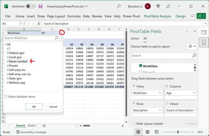 Фильтр полей Excel Power Pivot по рабочему классу