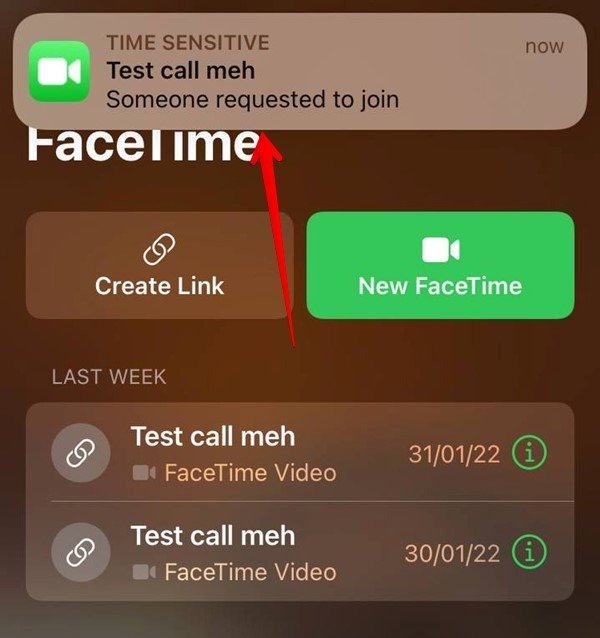 Советы и подсказки Facetime. Запрос на присоединение