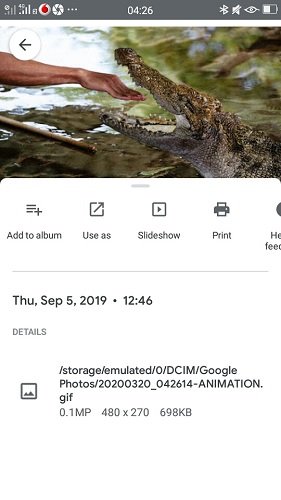 Google Photos For You Хранение анимации в телефоне