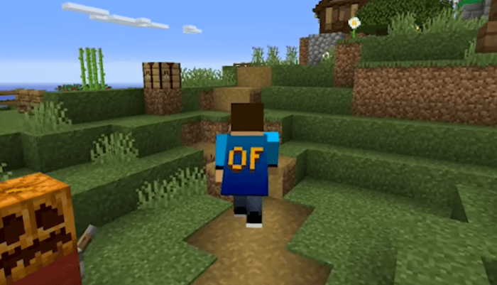 Как оборудовать мыс Optifine в Minecraft Cape