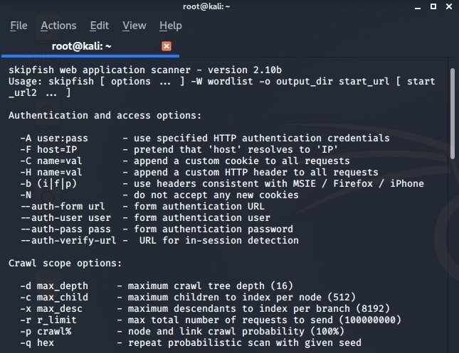 Список инструментов проникновения Kali Linux Skipfish