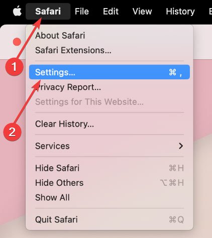 Меню настроек Mac Cache Safari