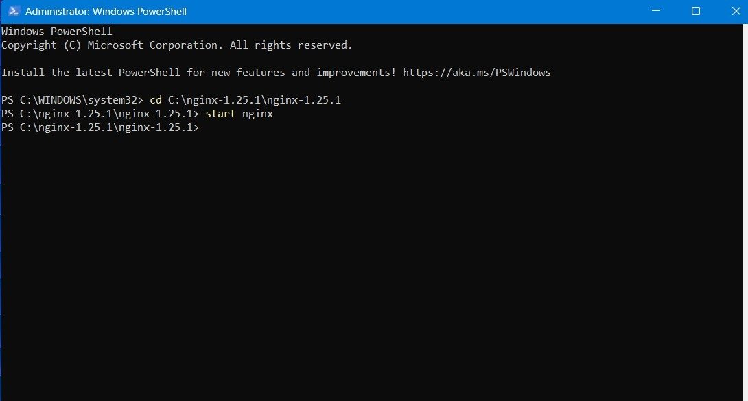 Запустите Nginx в PowerShell в режиме администратора.