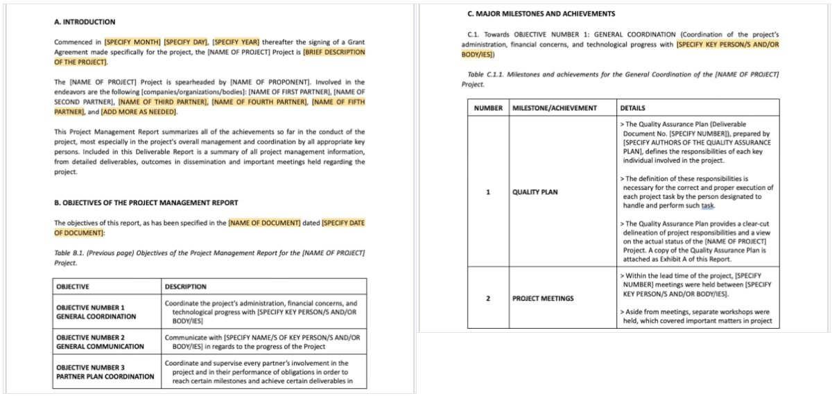 Шаблон отчета об управлении проектом