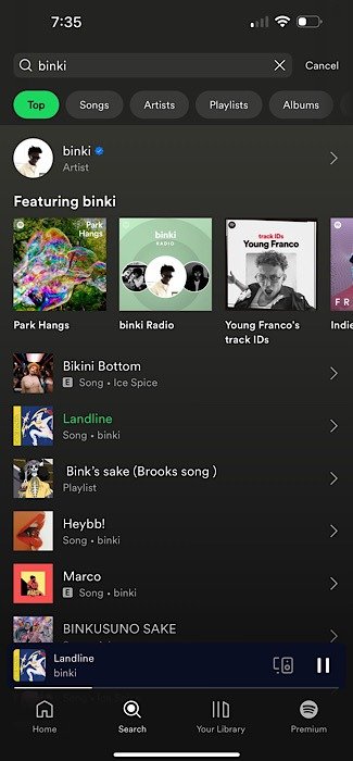 Панель поиска Spotify