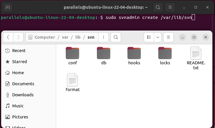 Ubuntu Настройка Subversion Создание Var Lib Svn