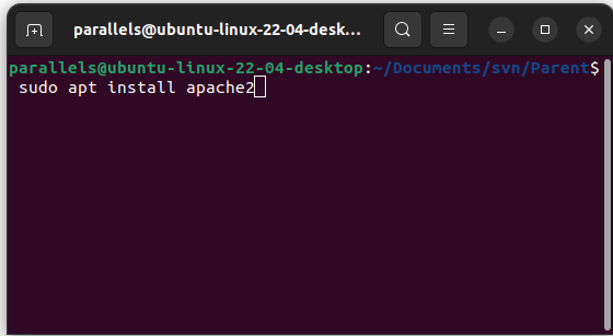 Ubuntu Настройка Subversion Sudo Apt Установка Apache2