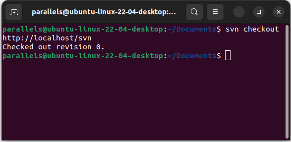 Настройка Ubuntu Subversion Svn Checkout Localhost