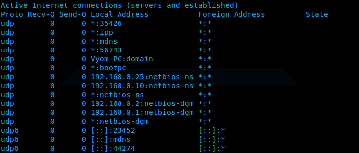 Ubuntu_netsta_udp_output