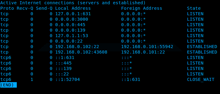 Ubuntu_netstat_dns_output