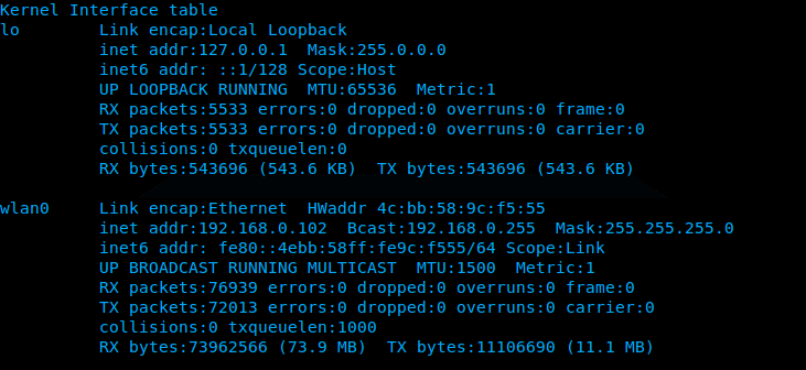 Ubuntu_netstat_interface_output