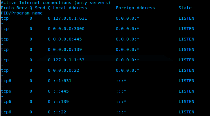 Ubuntu_netstat_process_details_output