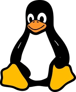 Vista-крайний срок-Linux