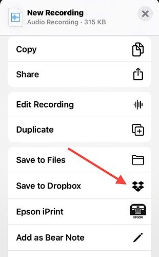 Голосовые заметки Iphone Dropbox