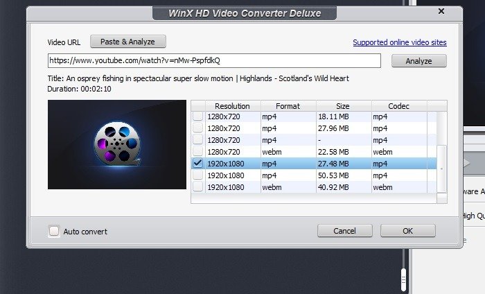 Winx Бесплатная пакетная загрузка видео