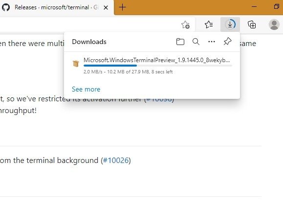 Загрузка пакета Github для терминала Windows