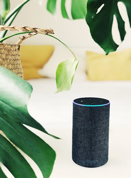 Amazon Alexa задает вопросы Tall Echo