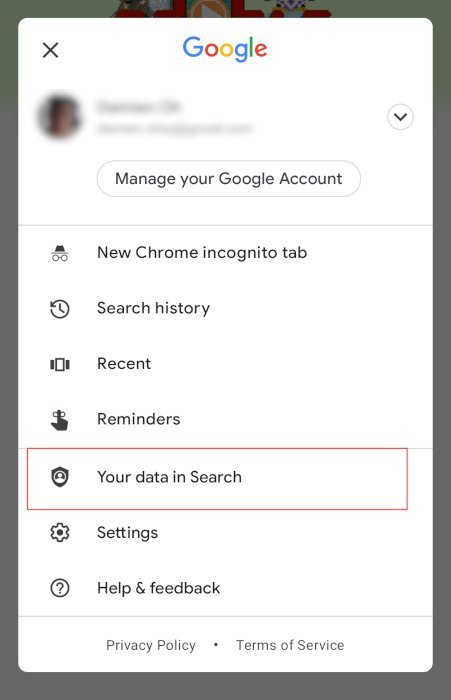Android-приложение Google Выбор данных в поиске