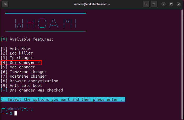 Терминал, показывающий модуль смены DNS, включенный в Whoami.