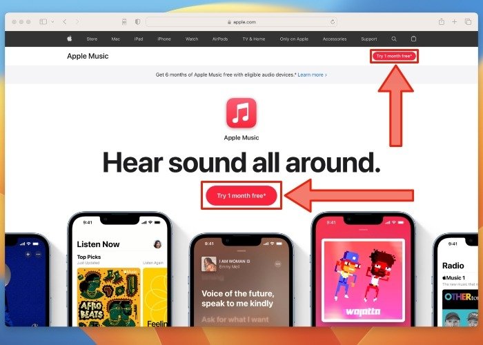 Apple Music один месяц