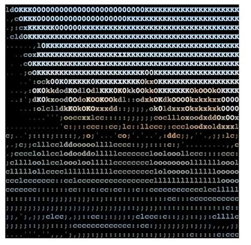 asciiphotos-instaresult