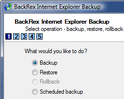 BackRex Резервное копирование Internet Explorer
