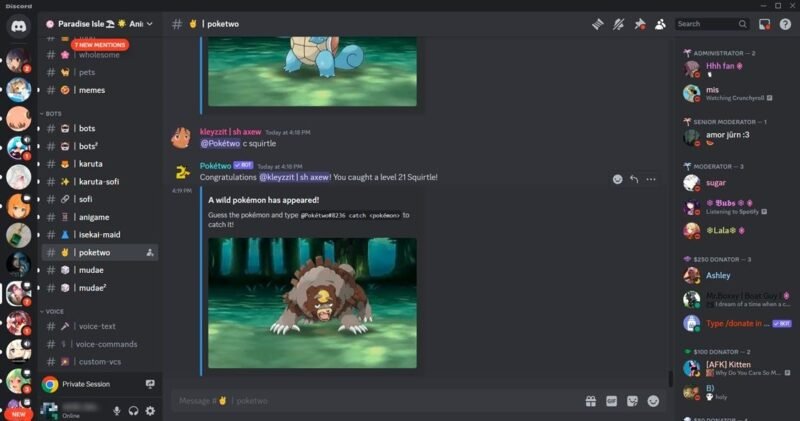 Вид сервера Paradise Isle в Discord.