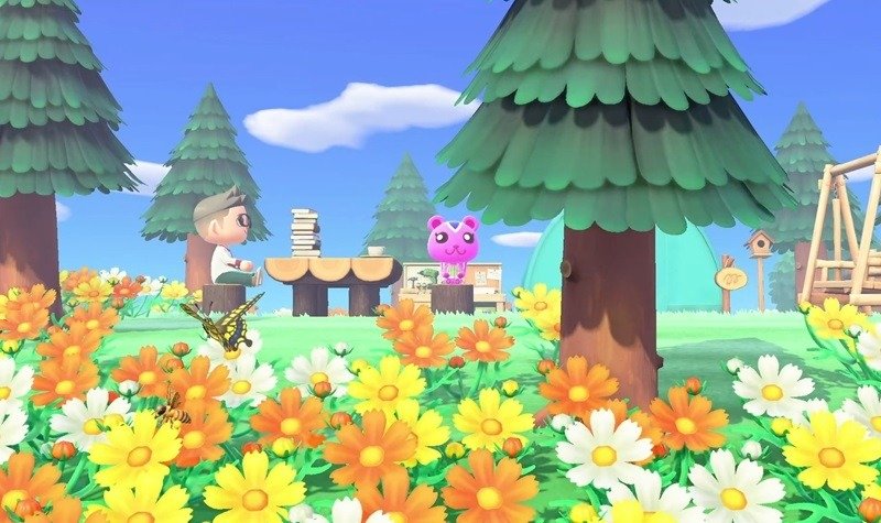 Играем в Animal Crossing в лагере.