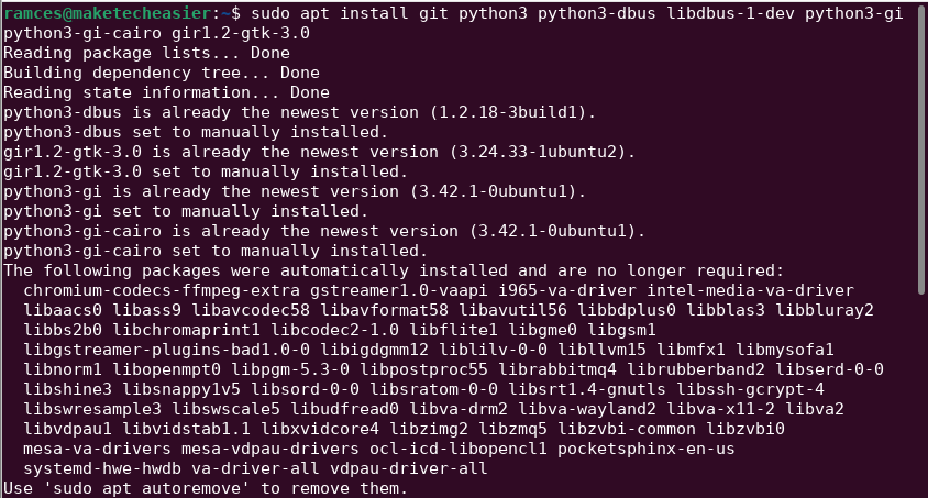 Окно терминала, показывающее процесс установки зависимостей для statnot.