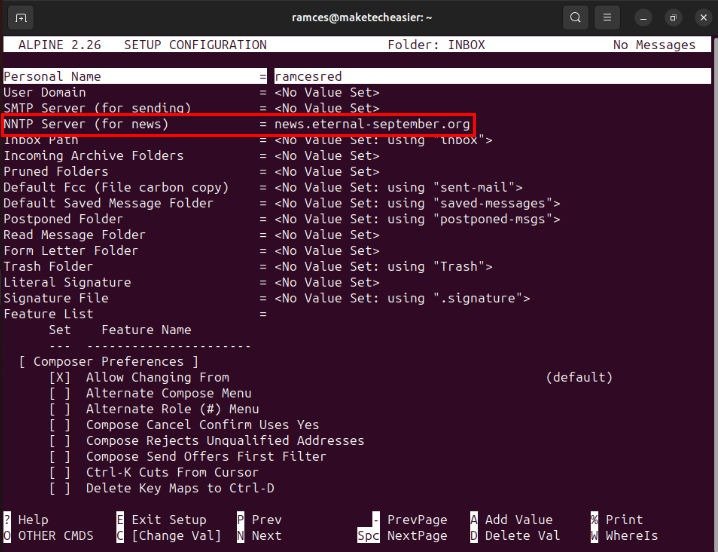Терминал, на котором выделена переменная NNTP-сервера для Alpine.