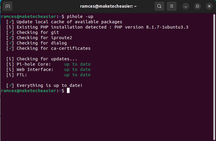 Терминал, показывающий процесс обновления Pi-Hole.