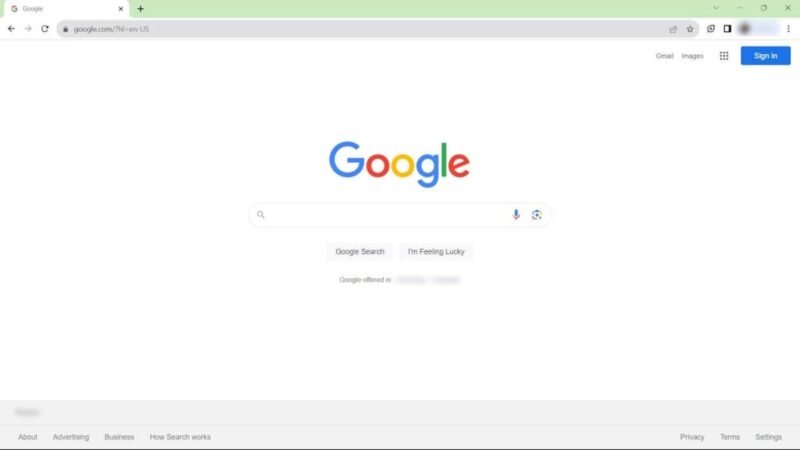 Вид главной страницы Google Chrome.