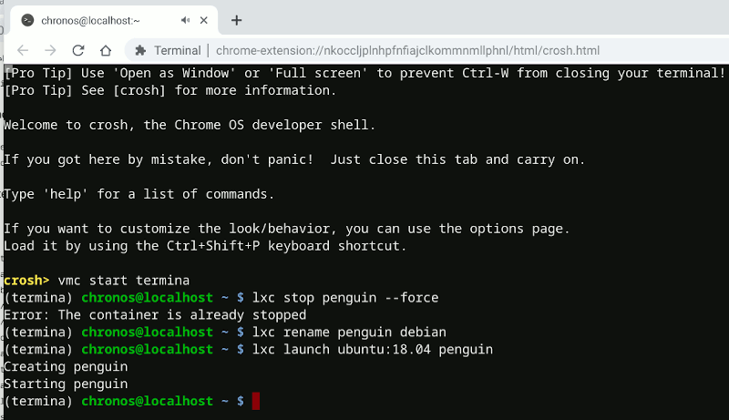 Chromeos Termina запускает Ubuntu