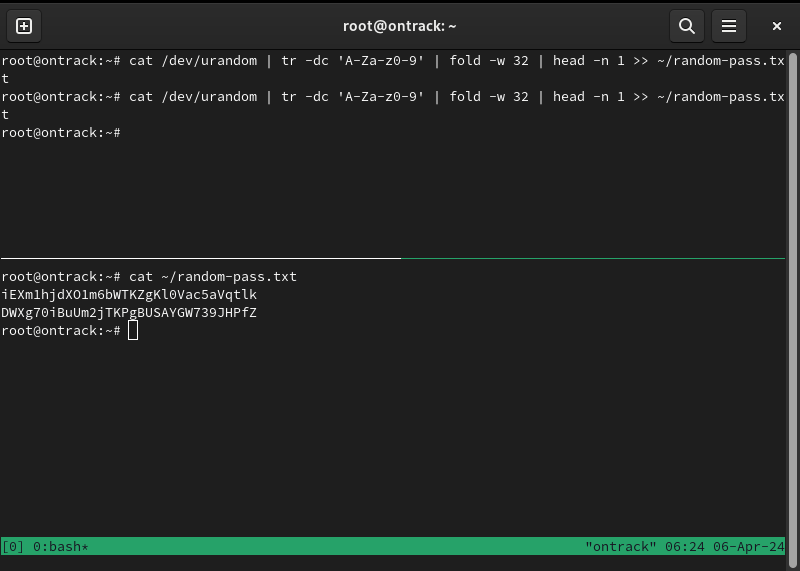Терминал, показывающий два случайно сгенерированных пароля для Ontrack.