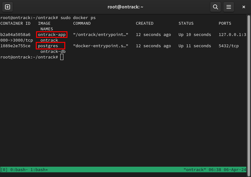 Терминал, показывающий два контейнера Docker, на которых работает Ontrack.
