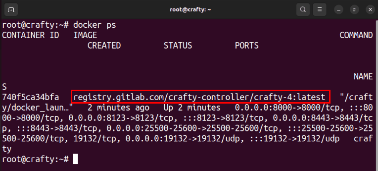 Терминал, показывающий контейнер Crafty, работающий в системе.