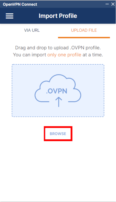 Снимок экрана, показывающий кнопку «Обзор» для клиента OpenVPN.