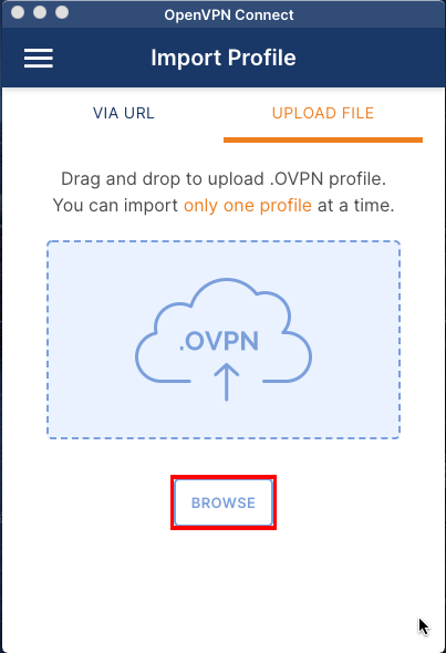 Снимок экрана, на котором выделена кнопка «Обзор» для клиента OpenVPN.