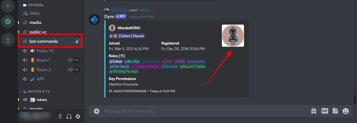 Discord Avatar Полное выполнение команды бота